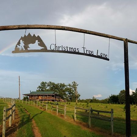 Rural Life On A Real Christmas Tree Farm! Hallmark Experience! Ozark Buitenkant foto