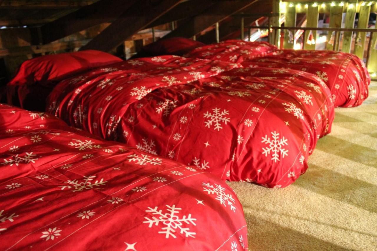 Rural Life On A Real Christmas Tree Farm! Hallmark Experience! Ozark Buitenkant foto
