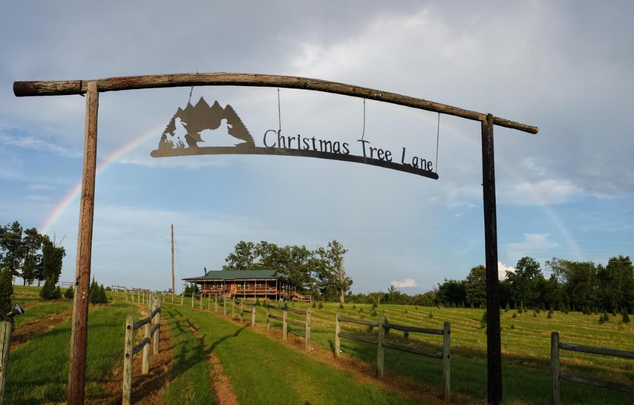 Rural Life On A Real Christmas Tree Farm! Hallmark Experience! Ozark Buitenkant foto