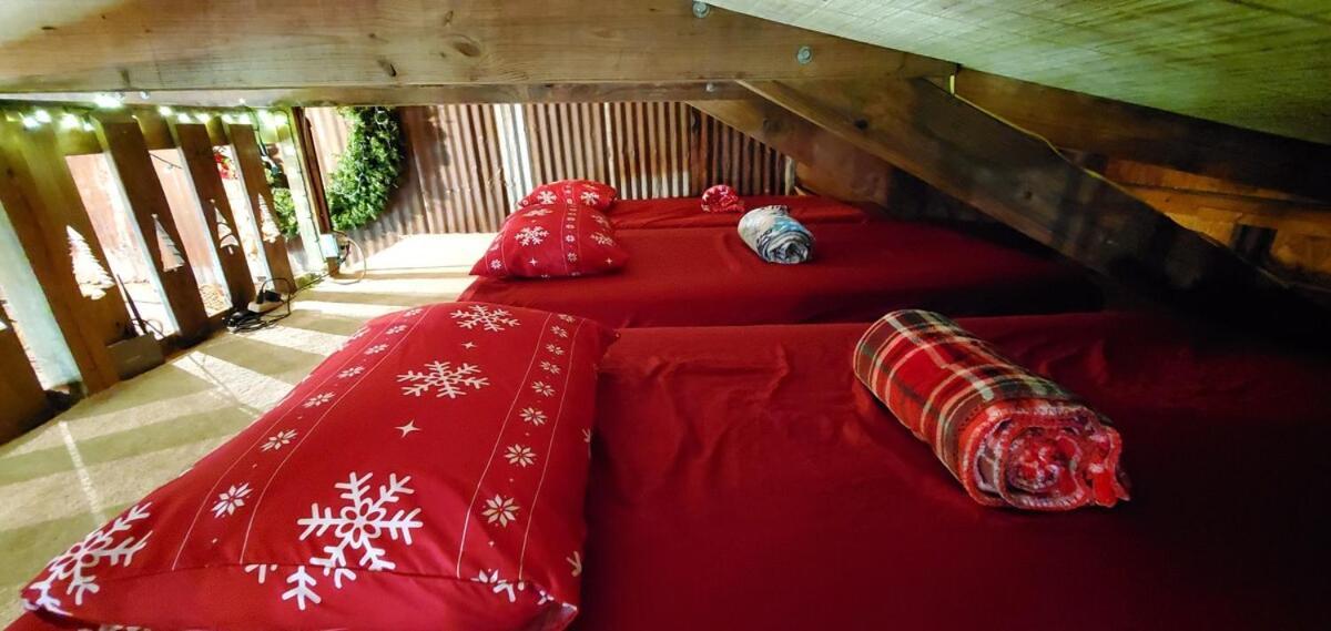 Rural Life On A Real Christmas Tree Farm! Hallmark Experience! Ozark Buitenkant foto