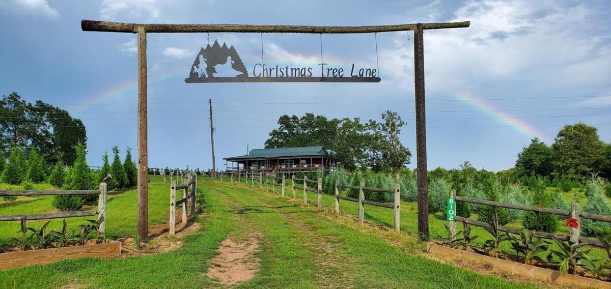 Rural Life On A Real Christmas Tree Farm! Hallmark Experience! Ozark Buitenkant foto